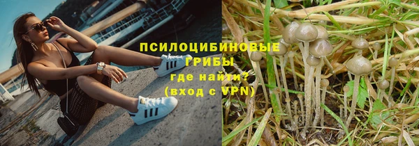 МДПВ Краснотурьинск